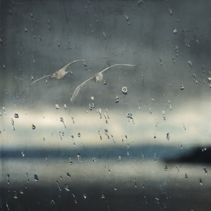 togetherintherain-700